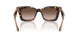 502613 - Tortoise - Brown Gradient