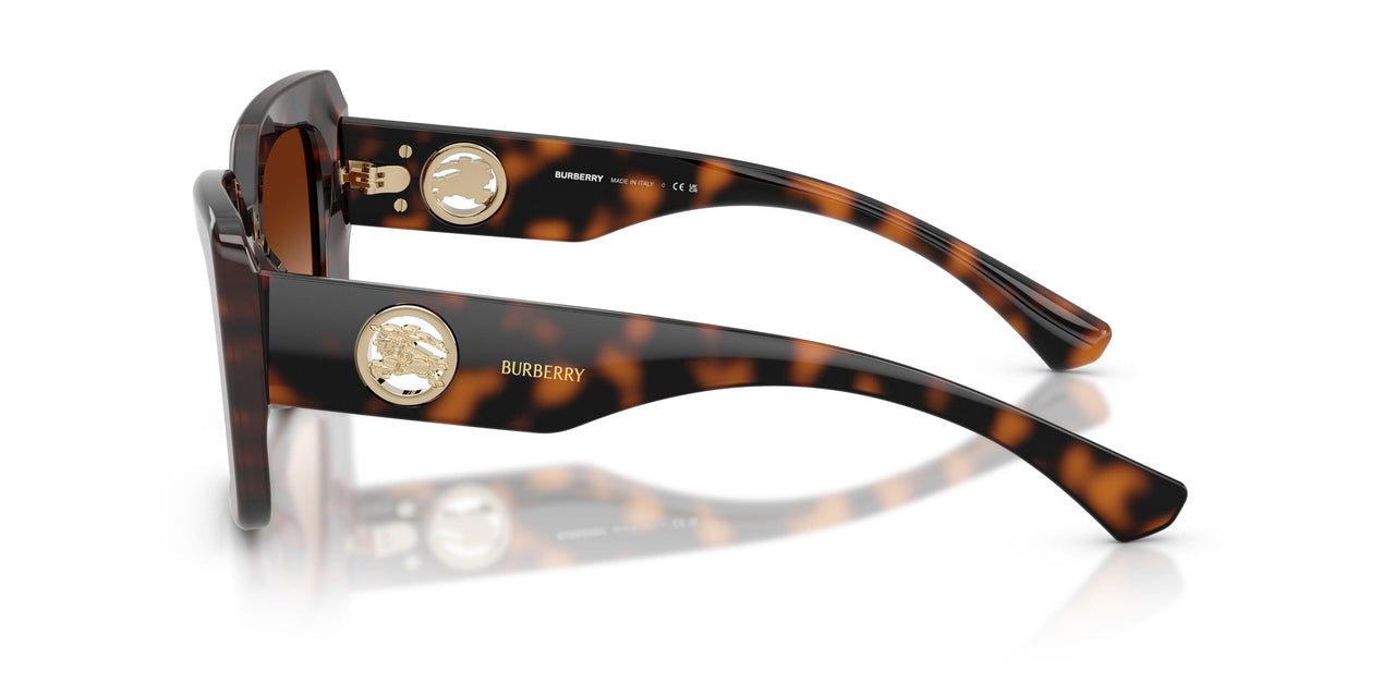 300274 - Brown - Brown Gradient