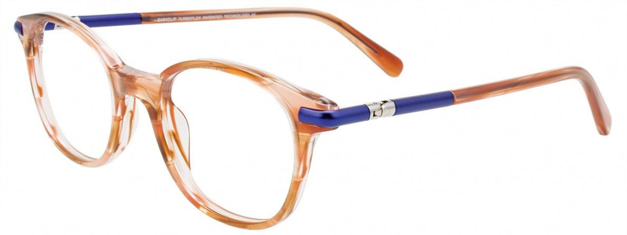 10 - Brown Striped & Blue