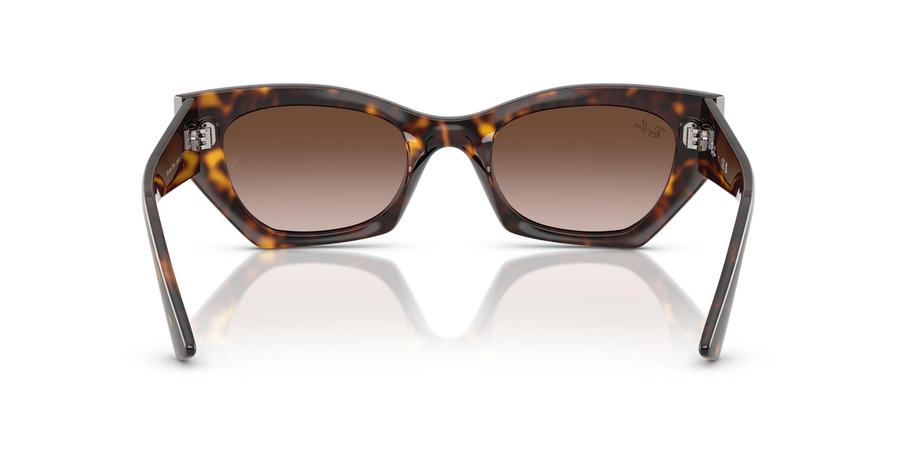 135913 - Tortoise - Gradient Brown