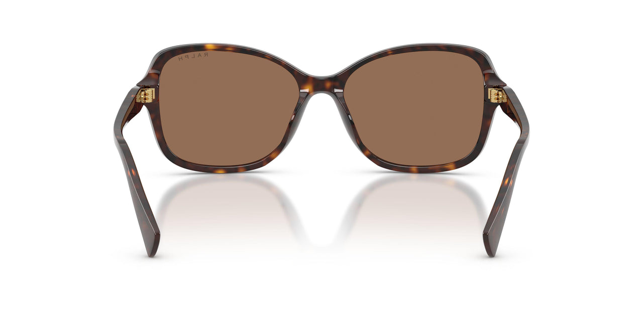 500373 - Tortoise - Brown