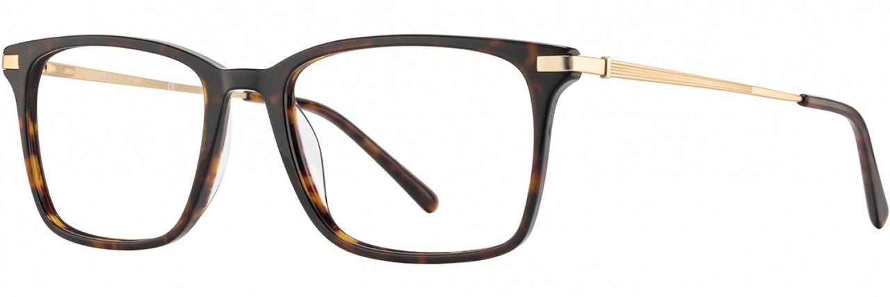 1 - Tortoise / Gold