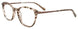 10 - Beige & Brown