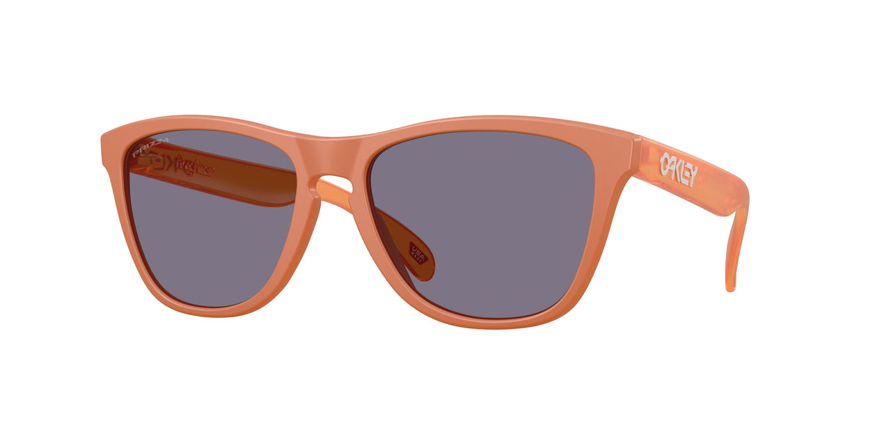 Oakley Frogskins 9013 Sunglasses