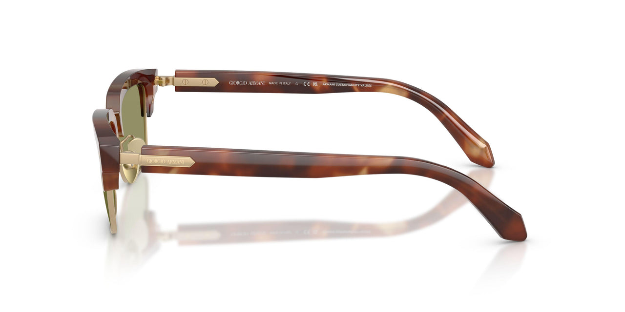 630214 - Brown - Green