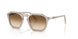 124051 - Grey - Clear Gradient Brown