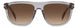 0KB7-HA - GREY - Brown Gradient