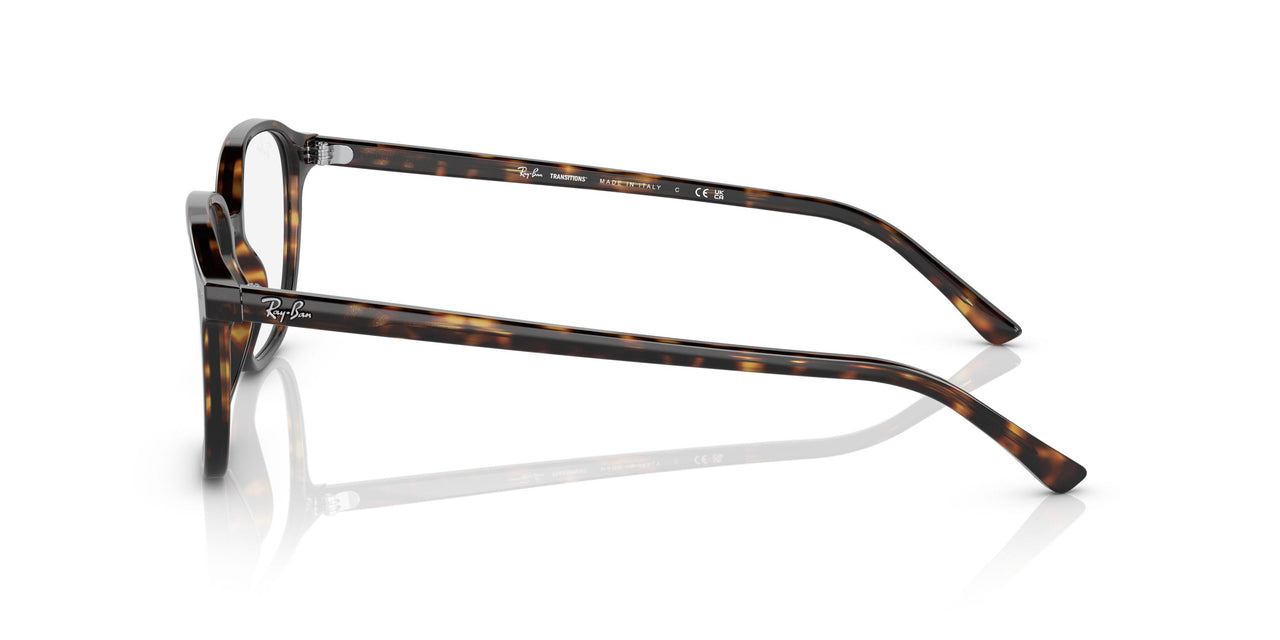 902/GH - Havana - Grey