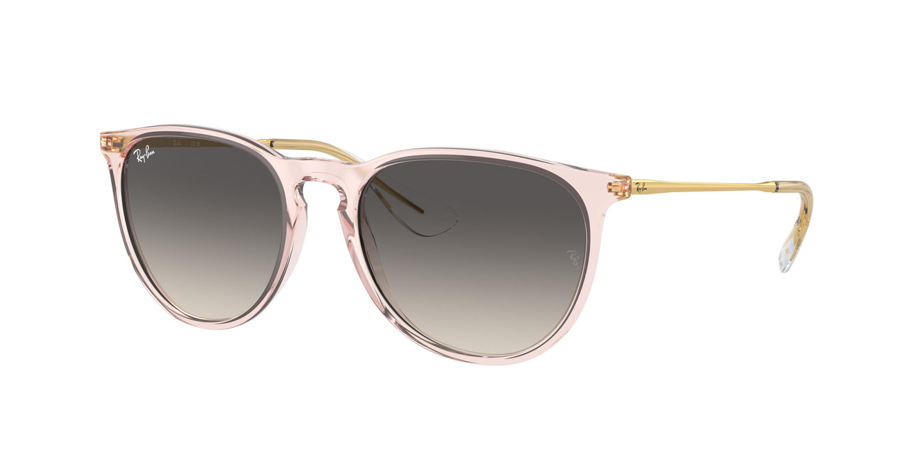 Ray-Ban Erika 4171 Sunglasses