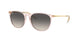 Ray-Ban Erika 4171 Sunglasses