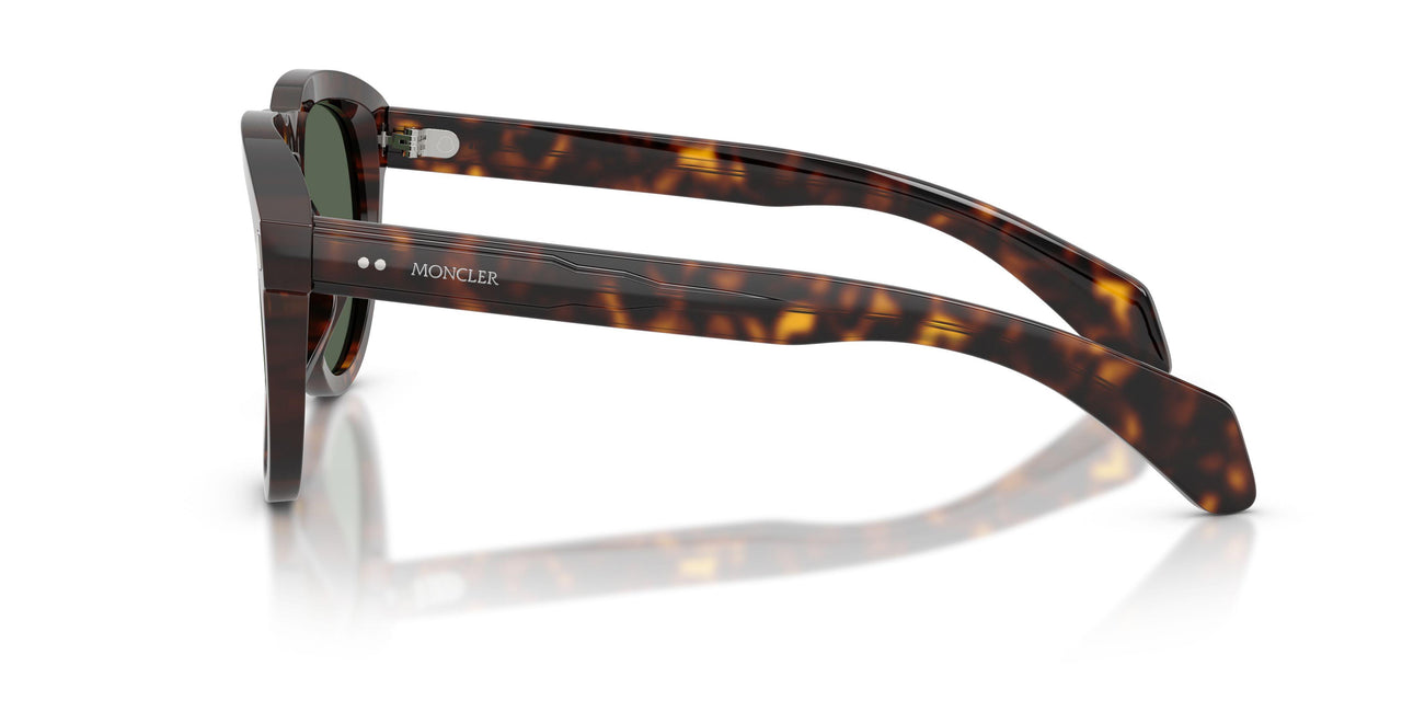 300271 - Tortoise - Solid Dark Green