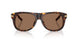 502/73 - Tortoise - Dark Brown