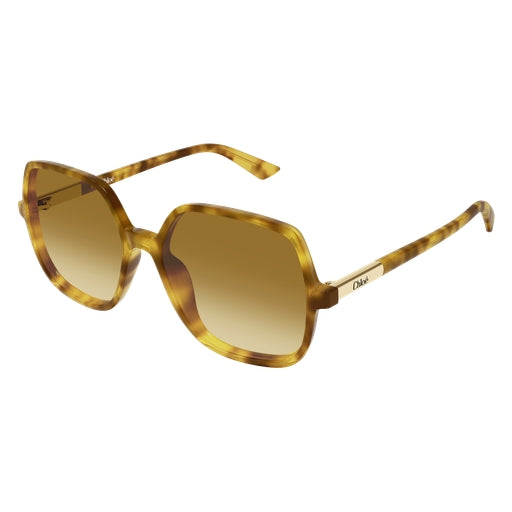 004 - Havana - Brown