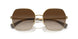 900413 - Gold - Gradient Brown