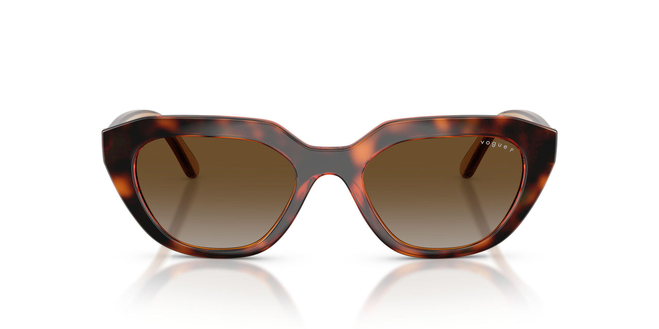 W656T5 - Brown - Gradient Brown Polar