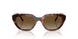 W656T5 - Brown - Gradient Brown Polar