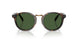 500371 - Tortoise - Bottle Green