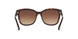 512013 - Havana - Brown Gradient