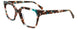 60 - Teal & Brown