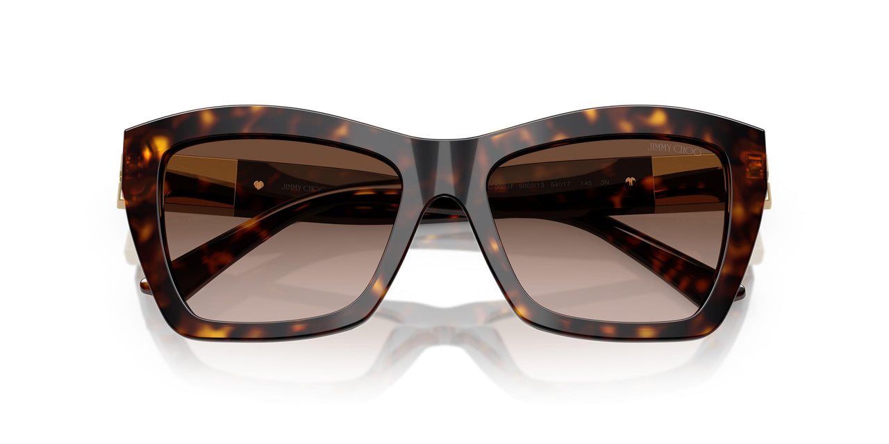 500213 - Tortoise - Gradient Brown