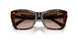 500213 - Tortoise - Gradient Brown