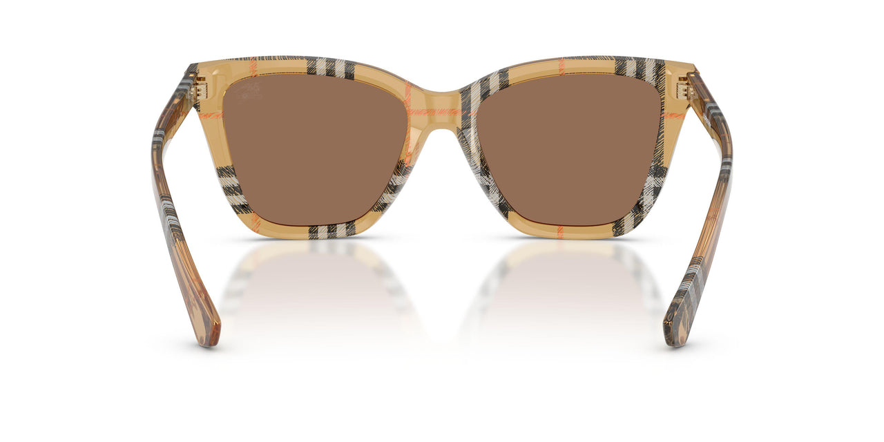 416373 - Brown - Dark Brown