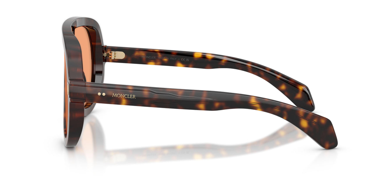 300274 - Tortoise - Solid Orange