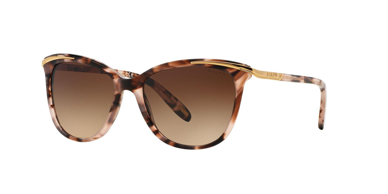 146313 - Havana - Dark Brown Gradient