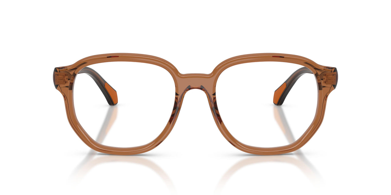 3017 - Brown