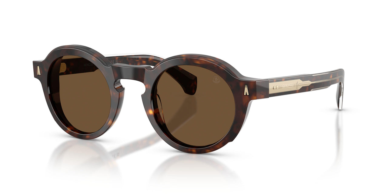 300273 - Tortoise - Solid Brown