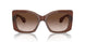 609013 - Brown - Brown Gradient