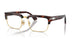 24/GG - Tortoise - Transitions Clear To Sapphire