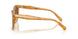 593911 - Tortoise - Olive