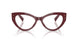 3442 - Multicolor