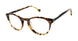 Buffalo by David Bitton BM006 Eyeglasses