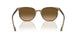 1439M2 - Green - Polarized Brown Gradient