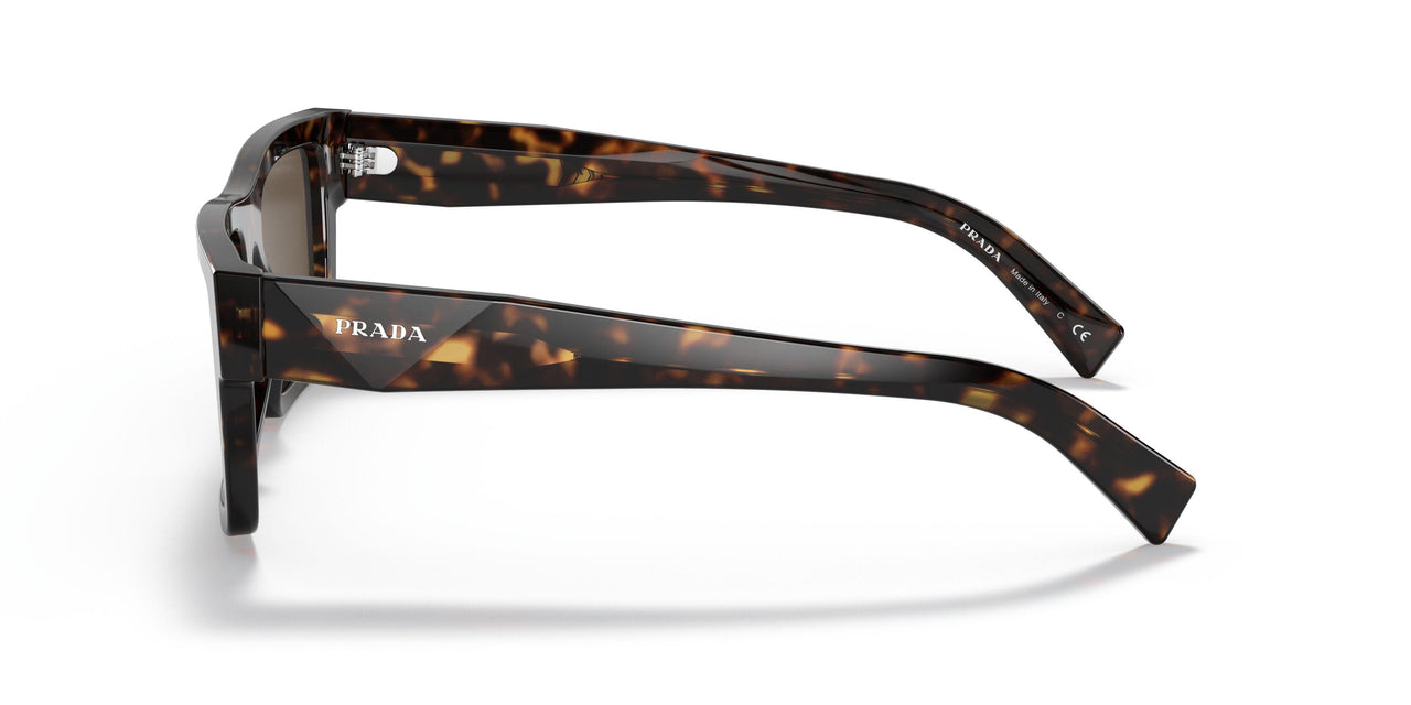 2AU8C1 - Havana - Dark Brown