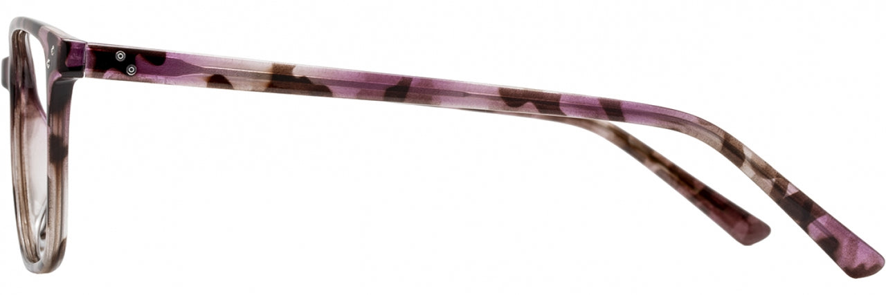 2 - Purple Tortoise