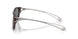 200387 - Tortoise - Dark Grey