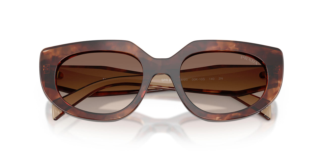 00K10S - Tortoise - Brown Gradient
