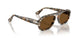 122157 - Multicolor - Brown Polar