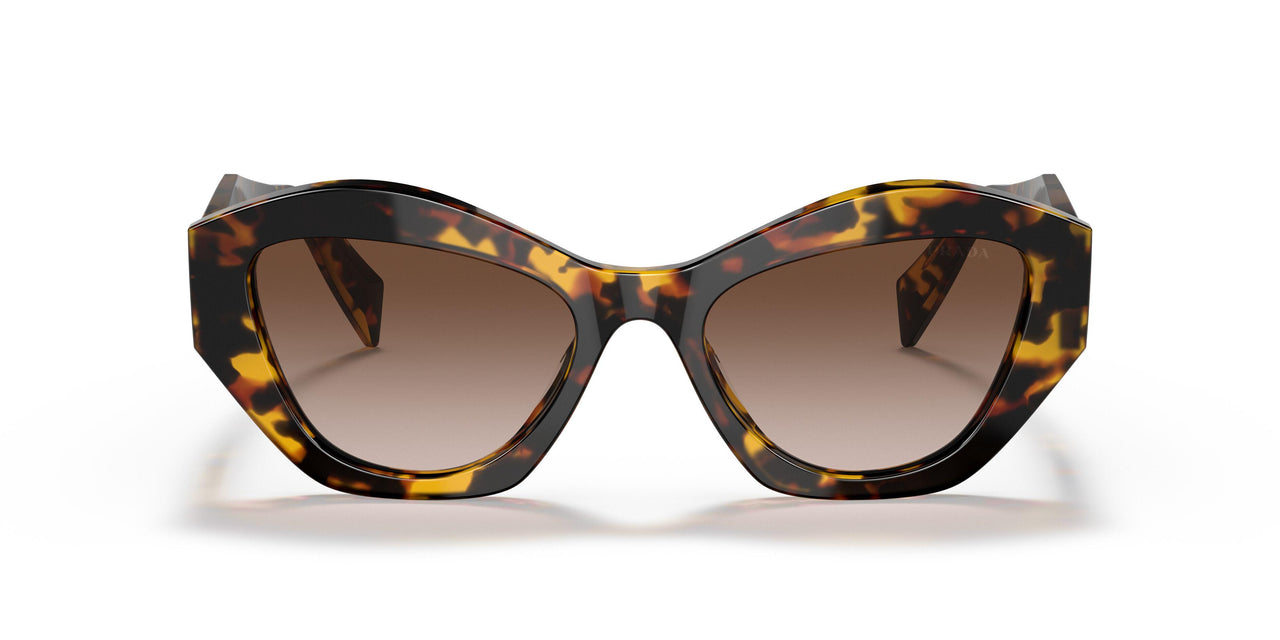 VAU6S1 - Havana - Brown Gradient