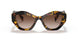VAU6S1 - Havana - Brown Gradient