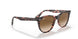 12934E - Light Havana On Trasp Yellow - Bottle Green