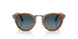 960/S3 - Brown - Light Blue Grad Dlue Polar