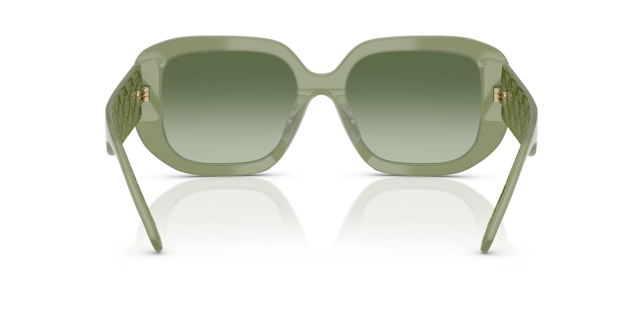 20228E - Green - Green Gradient