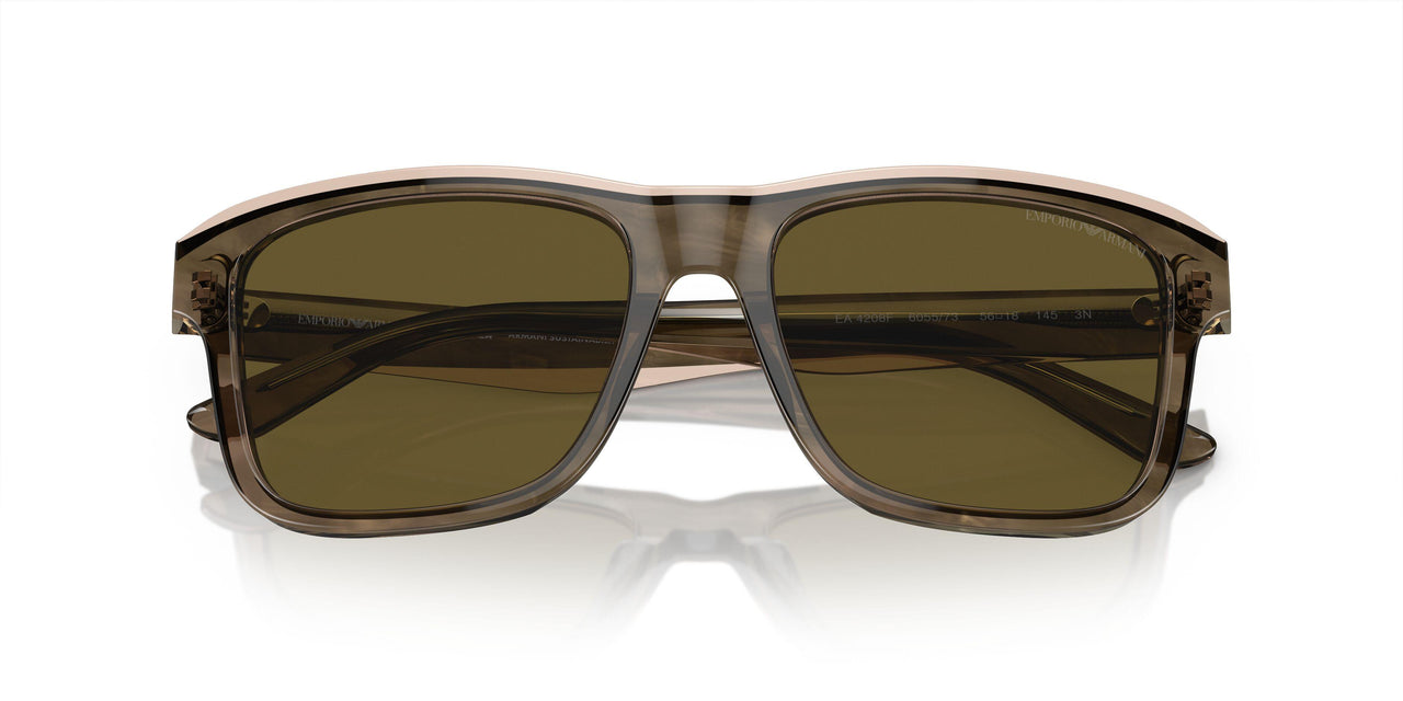 605573 - Green - Dark Brown