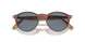 900656 - Brown - Light Blue