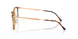 5687 - Brown - Clear