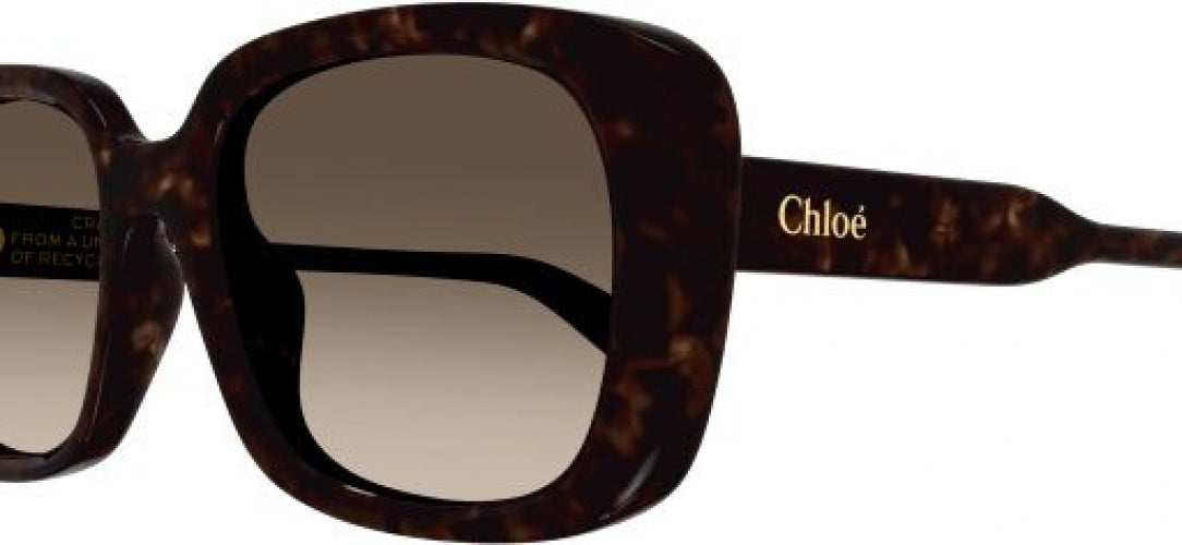 002 - Havana - Brown
